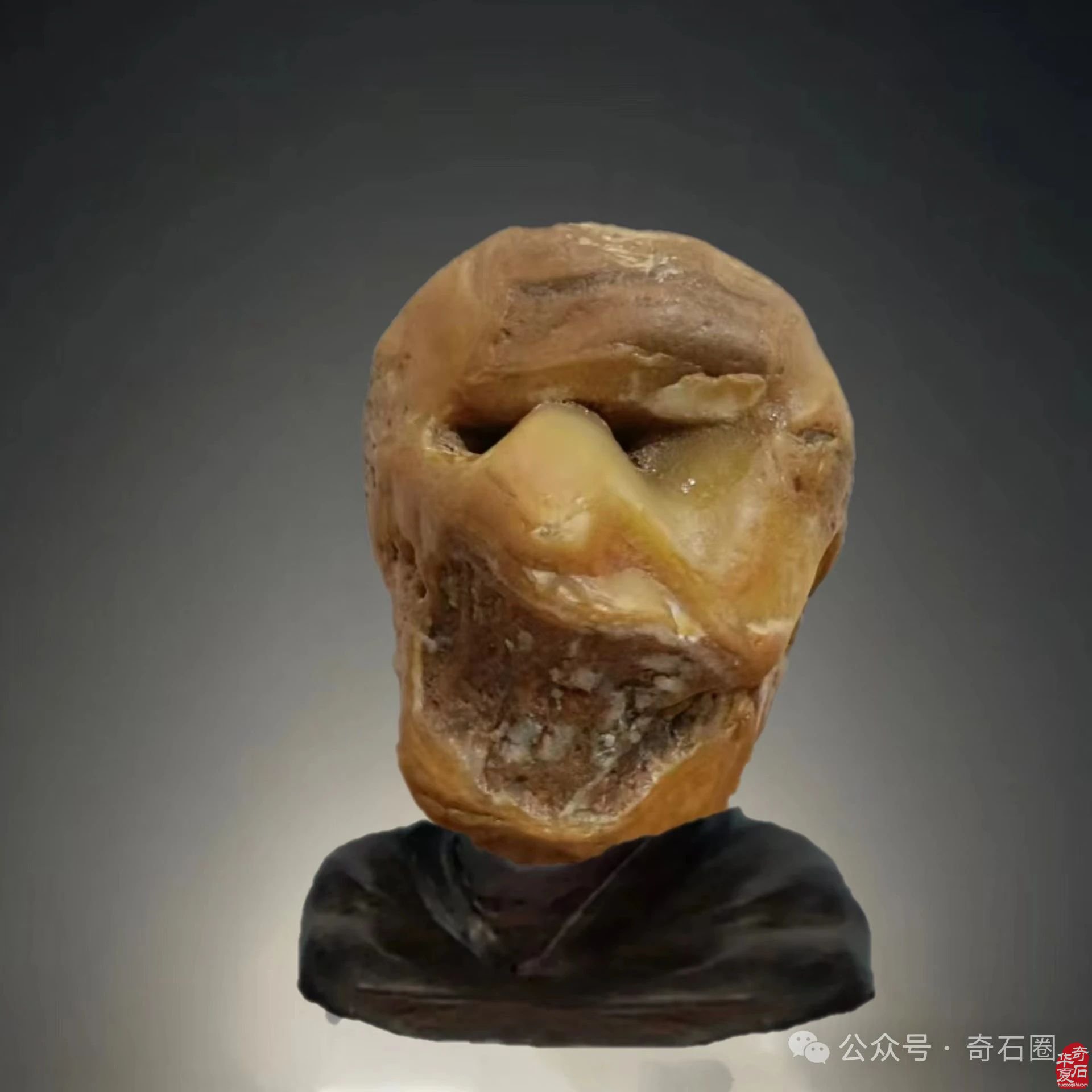 说说我家的“奇石交流群”