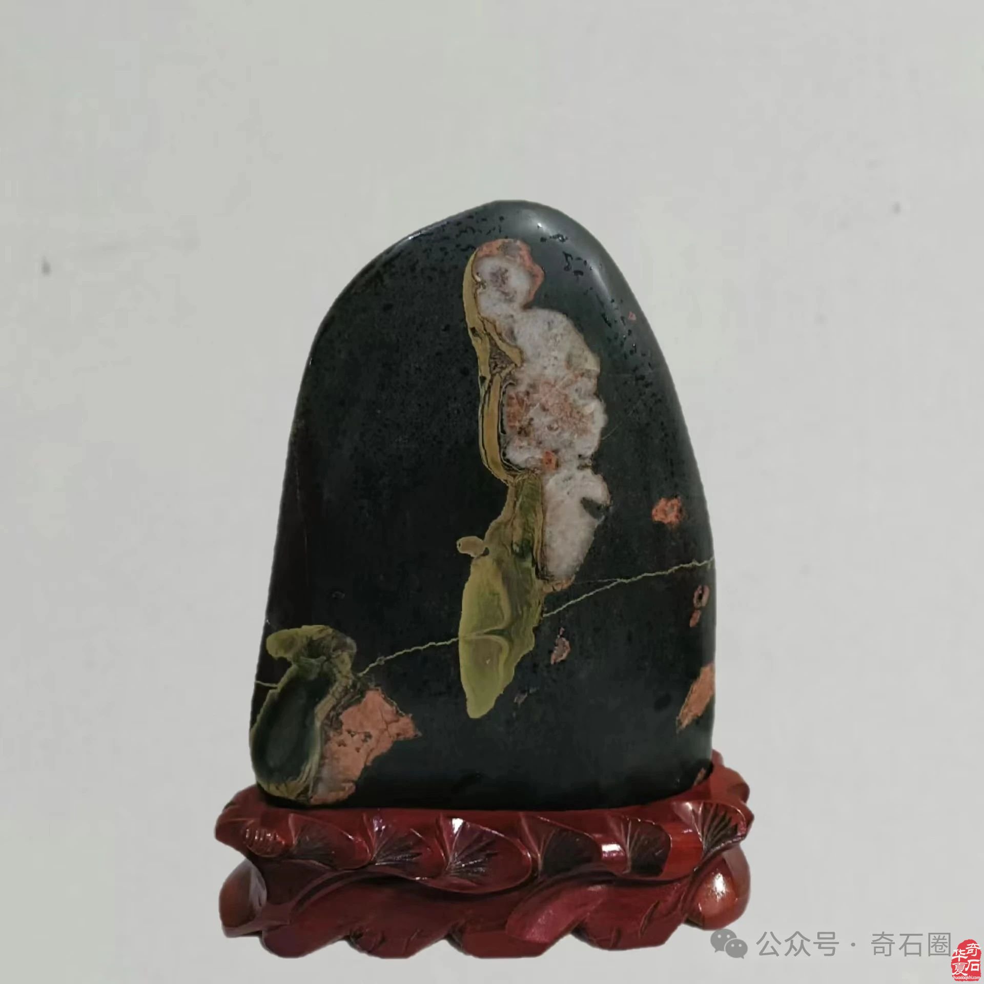 说说我家的“奇石交流群”