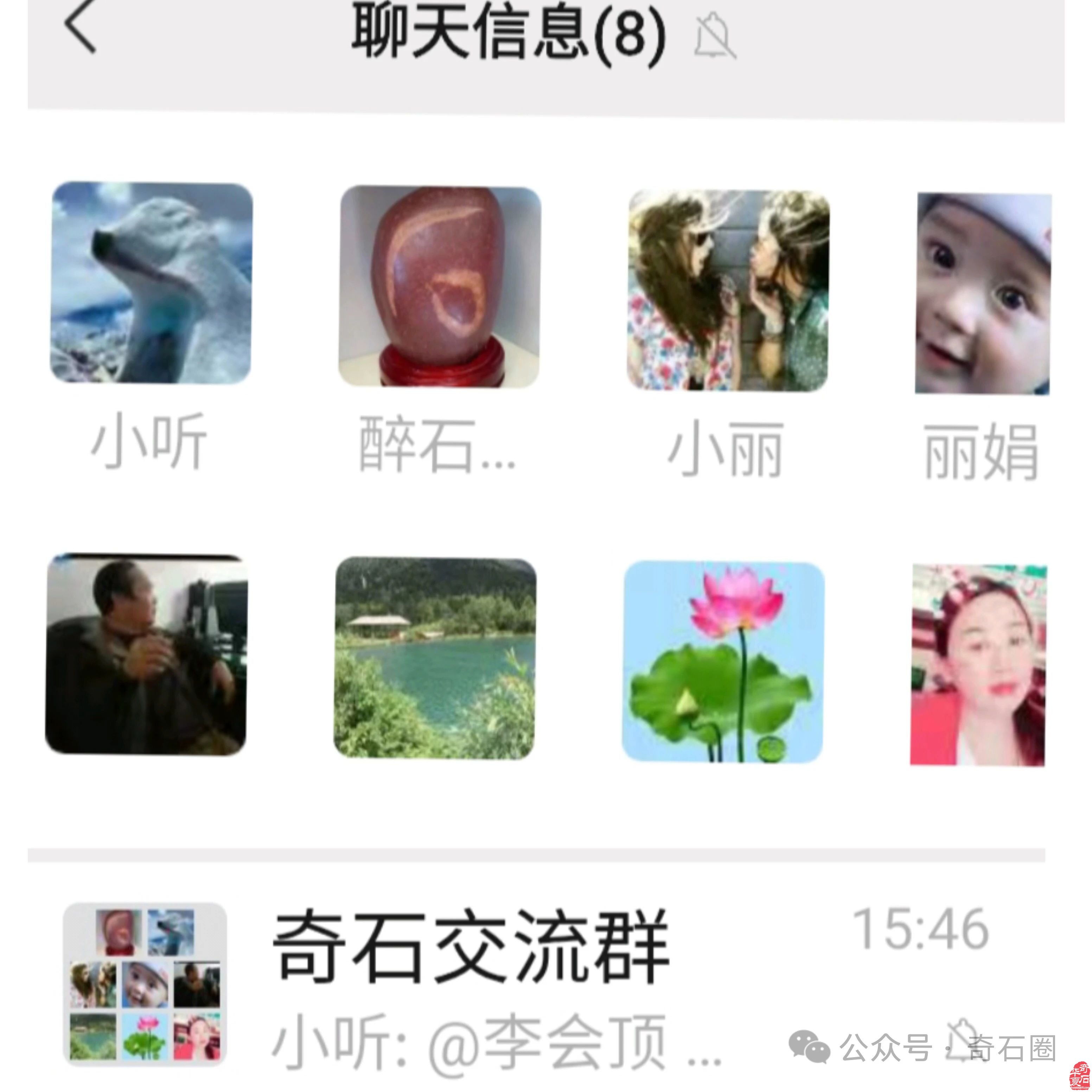 说说我家的“奇石交流群”