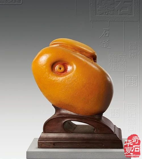 奇石为伴，岁月静好：向玩石头的长者们致敬！