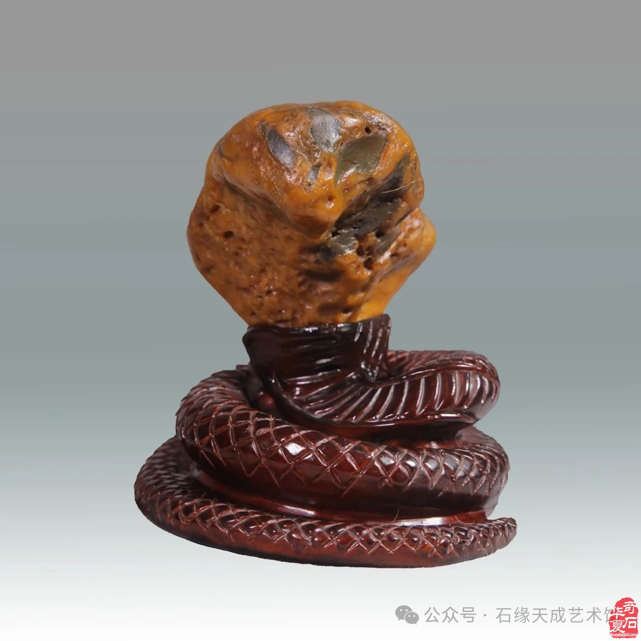 拜年啦!瑞蛇迎吉庆,祥辉照锦程