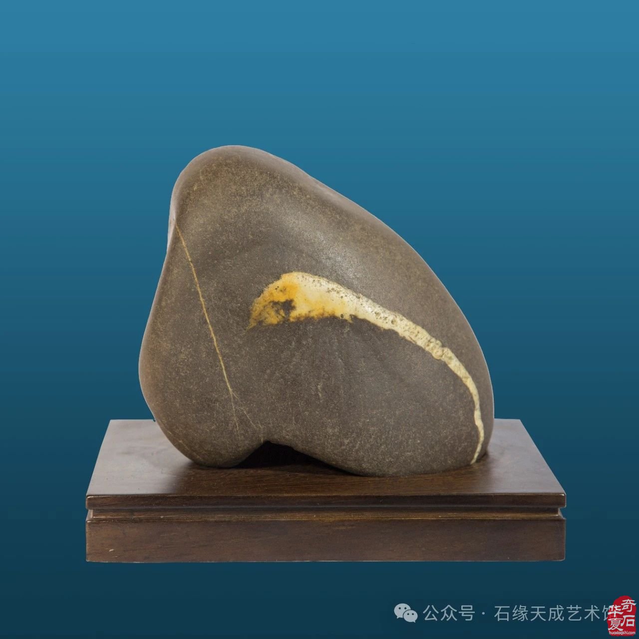 拜年啦！瑞蛇迎吉庆，祥辉照锦程