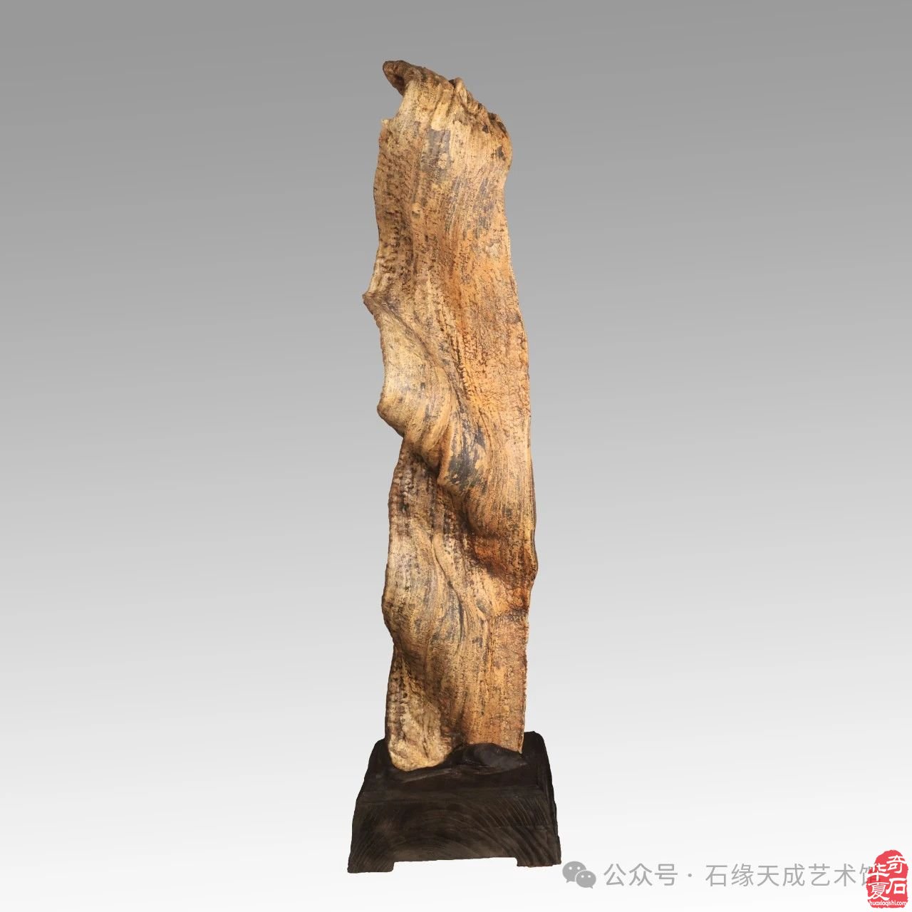 拜年啦！瑞蛇迎吉庆，祥辉照锦程