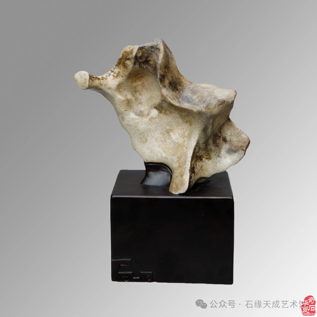 拜年啦！瑞蛇迎吉庆，祥辉照锦程
