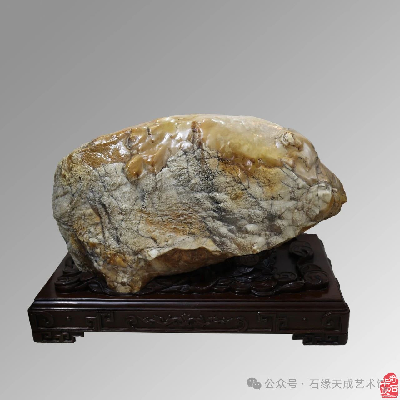 拜年啦！瑞蛇迎吉庆，祥辉照锦程