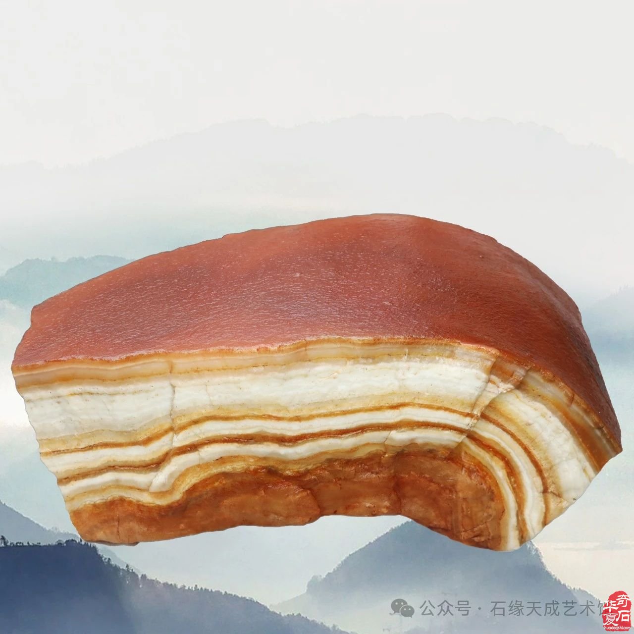 拜年啦！瑞蛇迎吉庆，祥辉照锦程