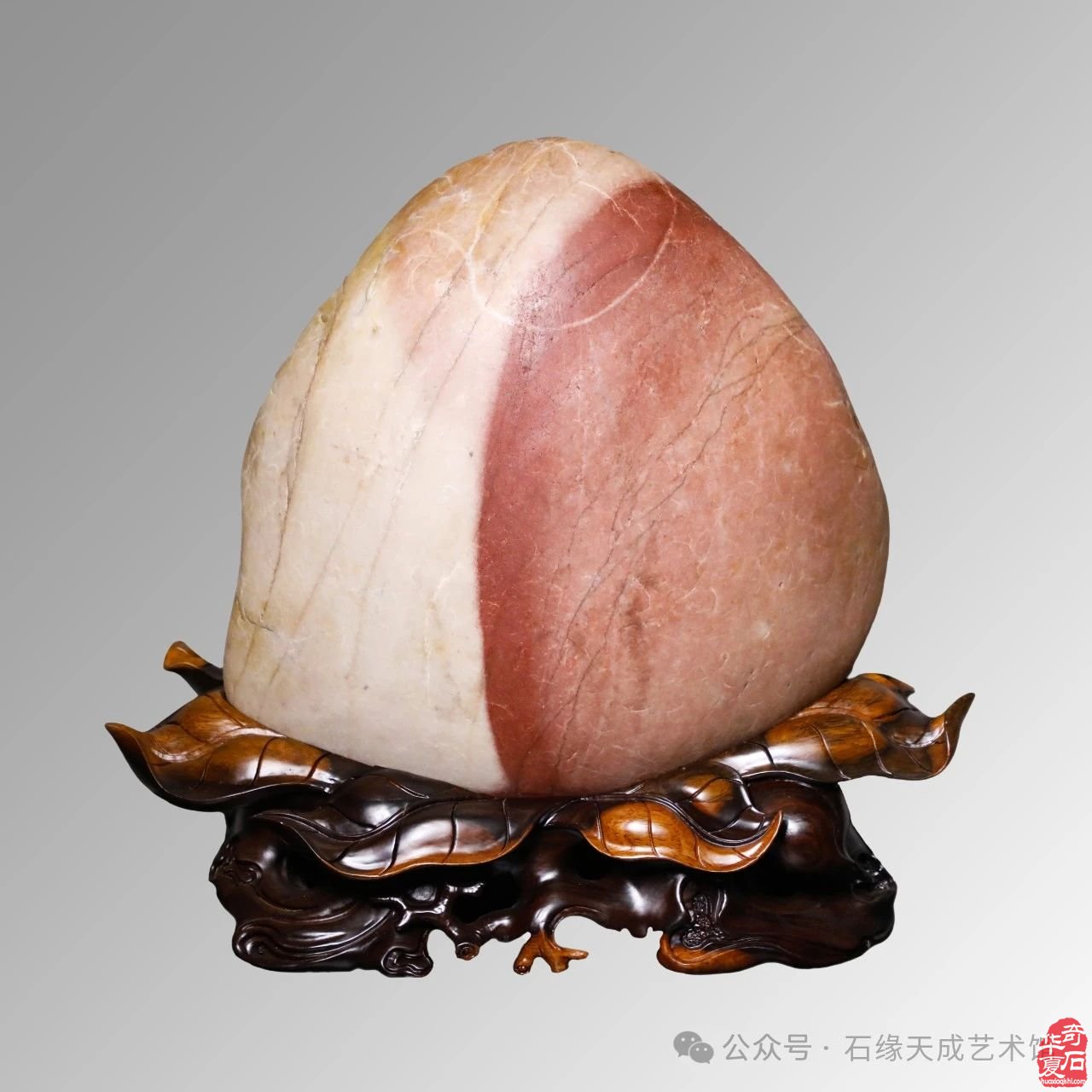 拜年啦！瑞蛇迎吉庆，祥辉照锦程