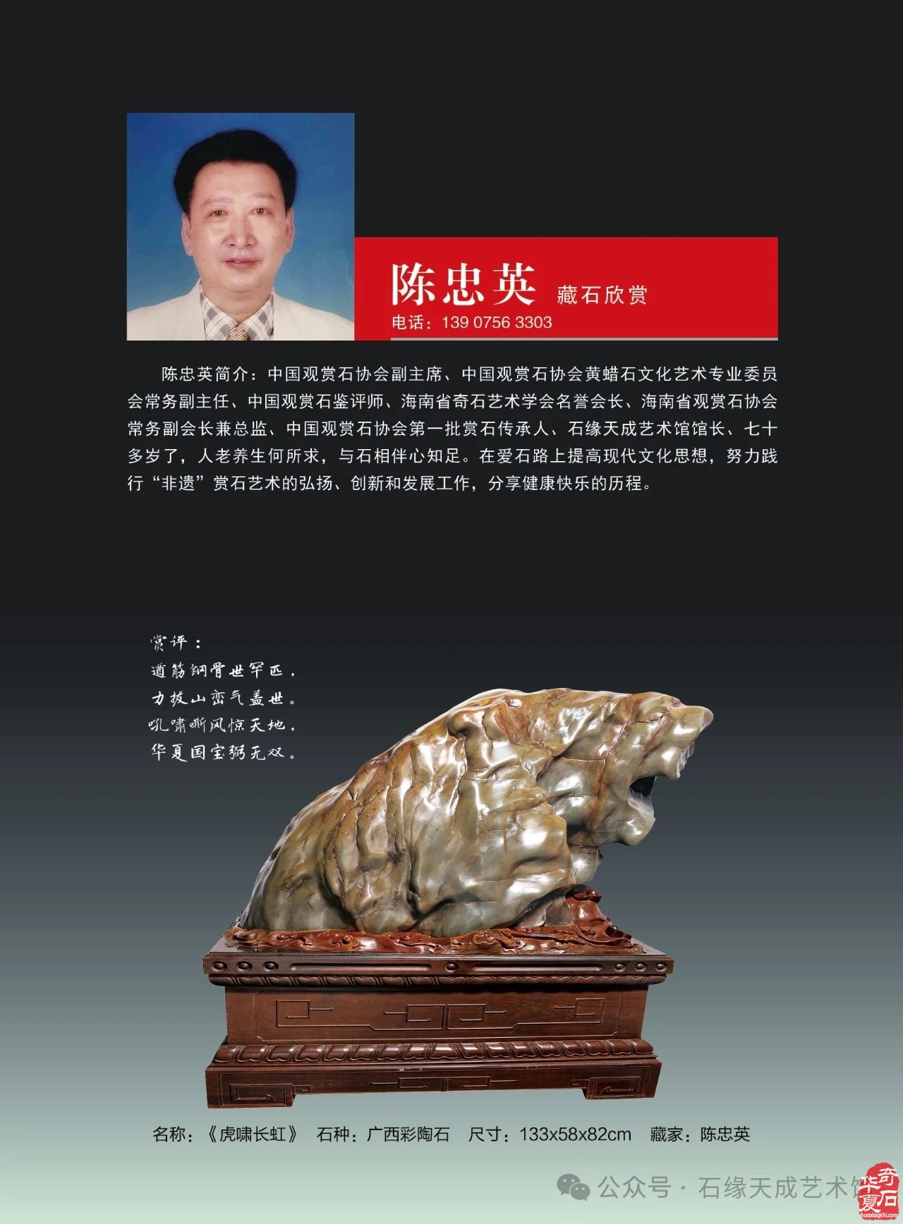 拜年啦！瑞蛇迎吉庆，祥辉照锦程