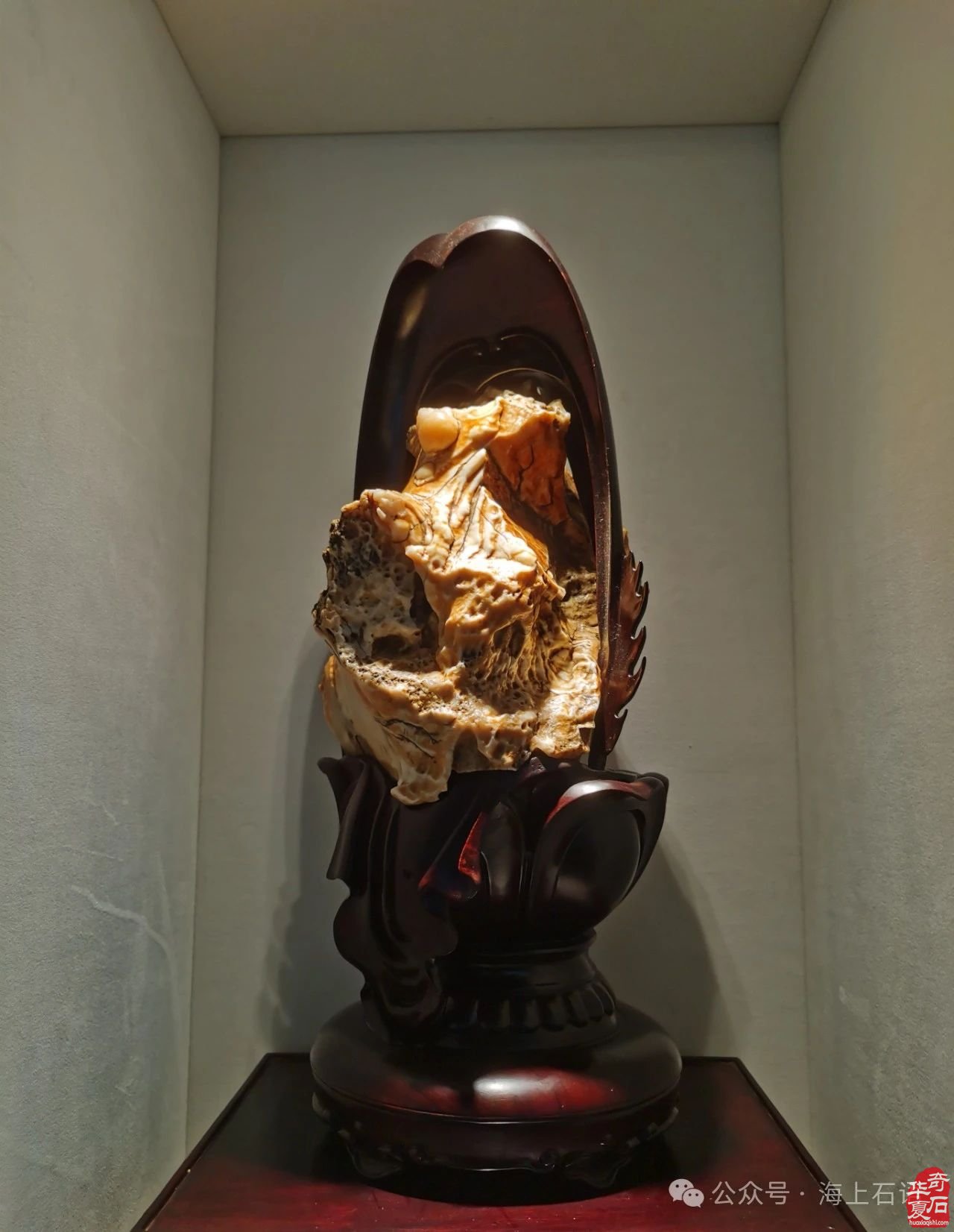 首届长三角赏石艺术联盟•中国环太湖艺术城联展