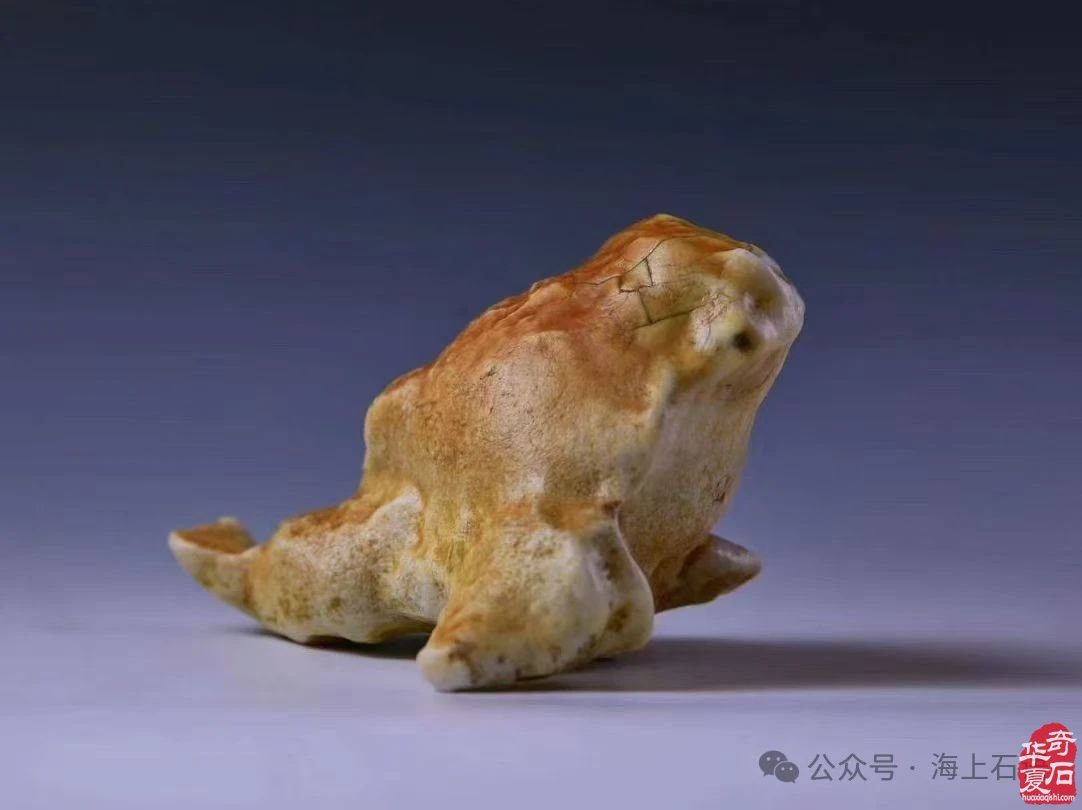 首届长三角赏石艺术联盟•中国环太湖艺术城联展