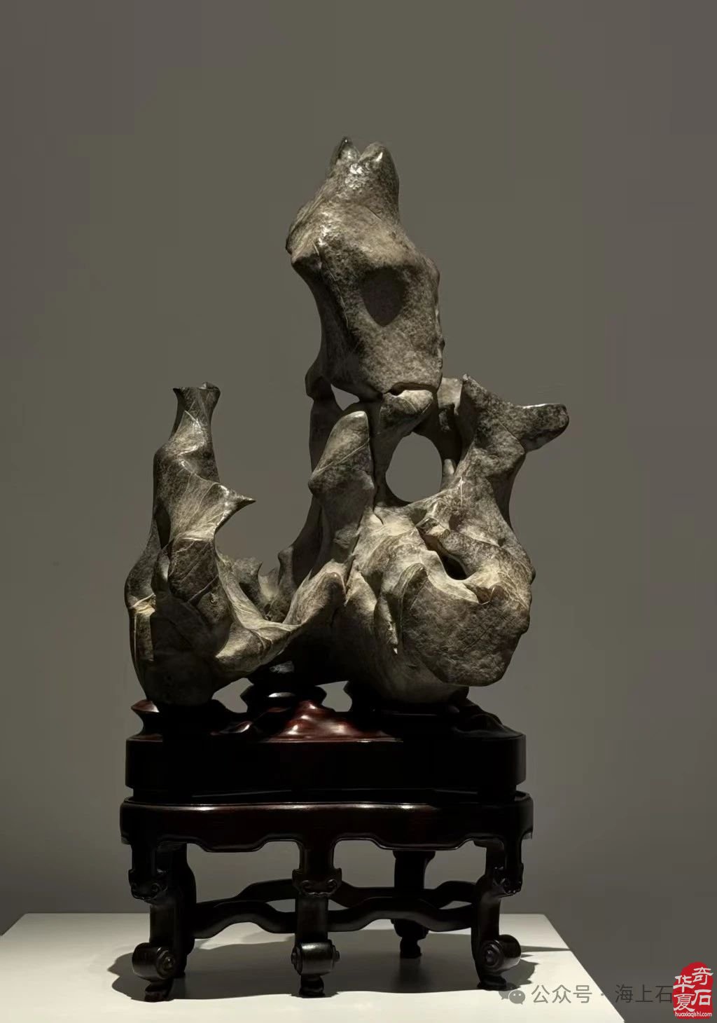 首届长三角赏石艺术联盟•中国环太湖艺术城联展