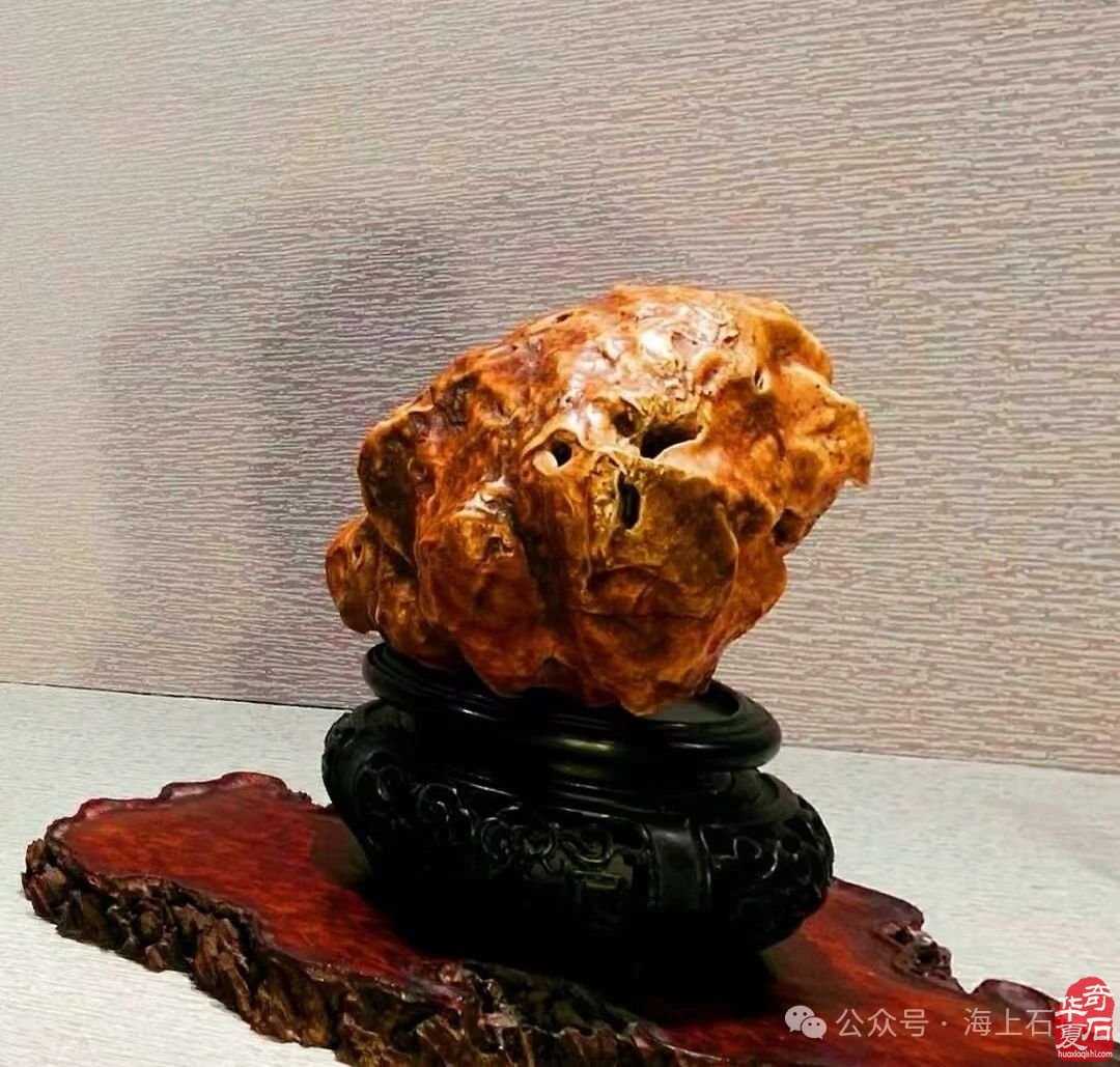 首届长三角赏石艺术联盟•中国环太湖艺术城联展