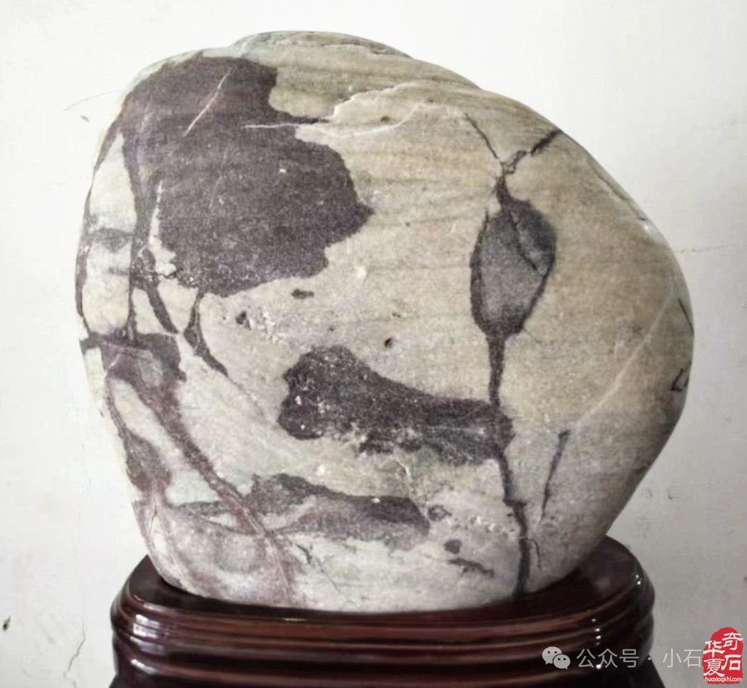 云南巧家石展已开幕了！——欢迎你来！