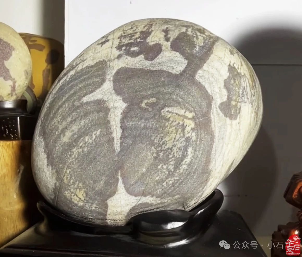 云南巧家石展已开幕了！——欢迎你来！