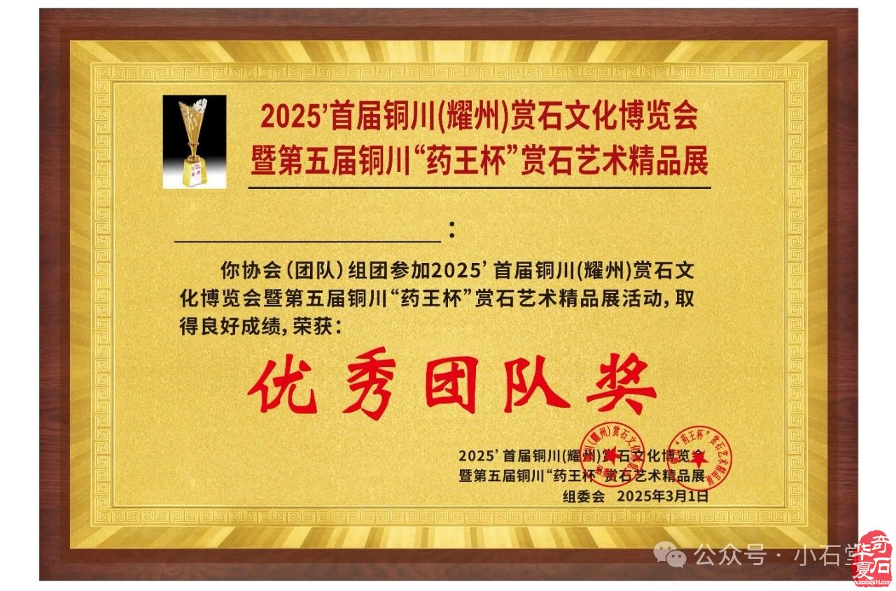 2025.3.1 首届铜川（耀州）赏石文化博览会暨第五届铜川“药王杯”赏石艺术精品展