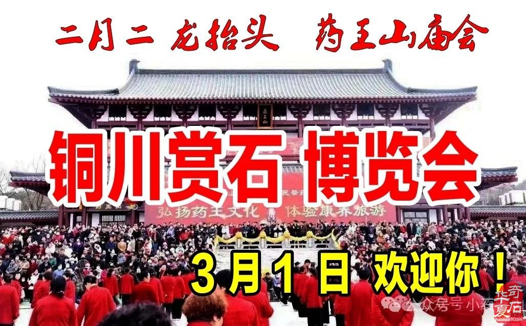 2025.3.1 首届铜川（耀州）赏石文化博览会暨第五届铜川“药王杯”赏石艺术精品展