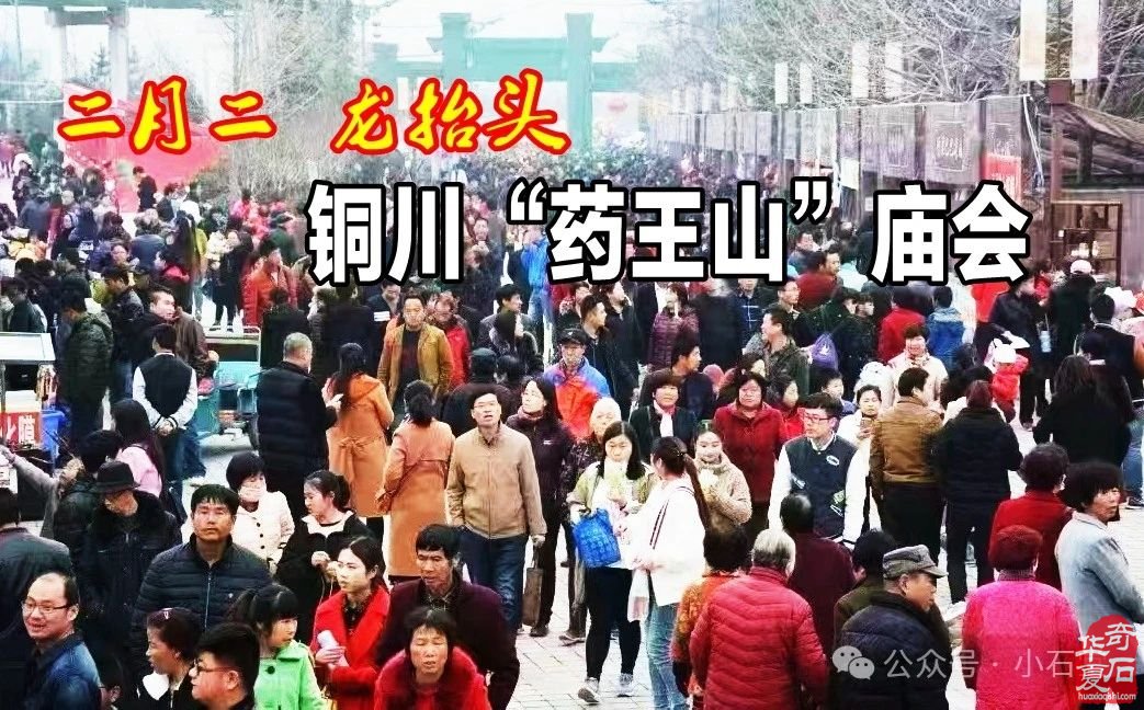 2025.3.1 首届铜川（耀州）赏石文化博览会暨第五届铜川“药王杯”赏石艺术精品展