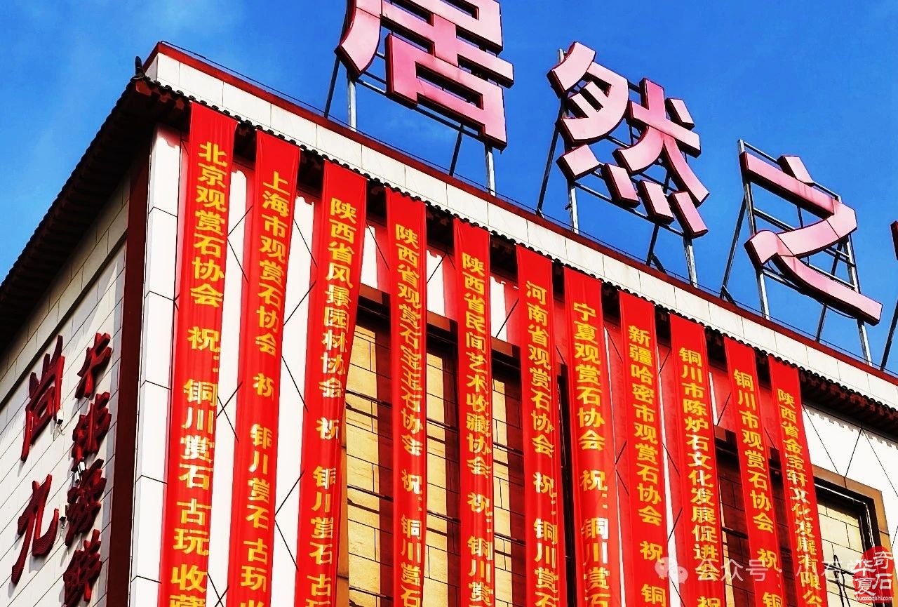 2025.3.1 首届铜川（耀州）赏石文化博览会暨第五届铜川“药王杯”赏石艺术精品展