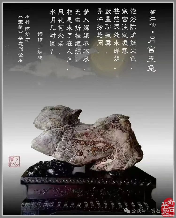 2025.3.1 首届铜川（耀州）赏石文化博览会暨第五届铜川“药王杯”赏石艺术精品展