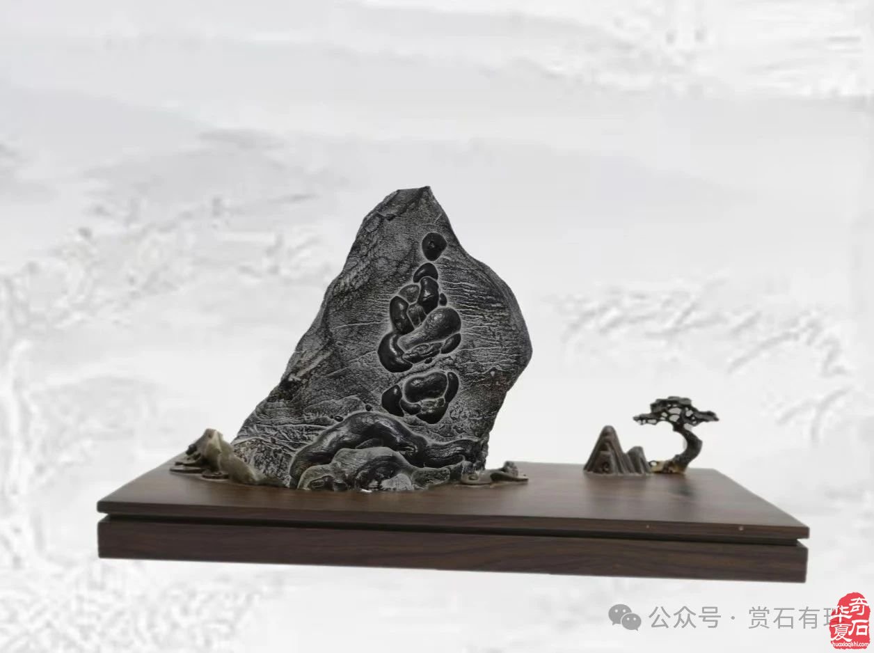 2025.3.1 首届铜川（耀州）赏石文化博览会暨第五届铜川“药王杯”赏石艺术精品展