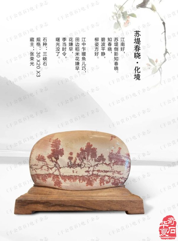 “石界一团火”张荣光：从偶然触石到甘肃赏石传奇人物