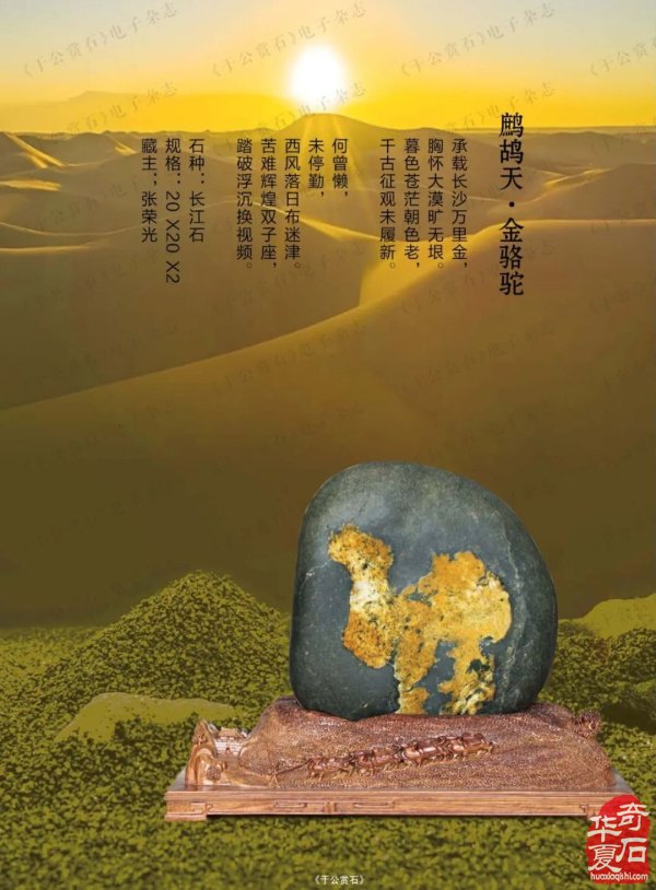 “石界一团火”张荣光：从偶然触石到甘肃赏石传奇人物
