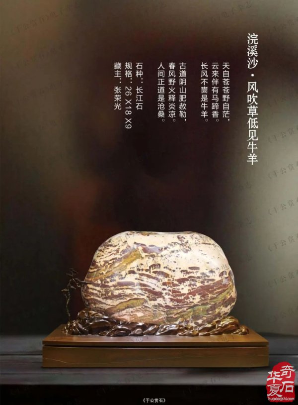 “石界一团火”张荣光：从偶然触石到甘肃赏石传奇人物