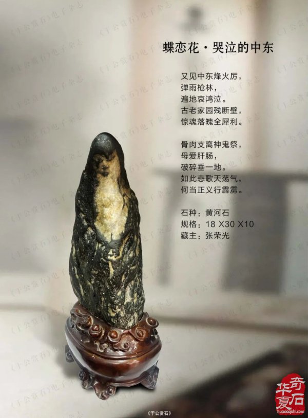 “石界一团火”张荣光：从偶然触石到甘肃赏石传奇人物