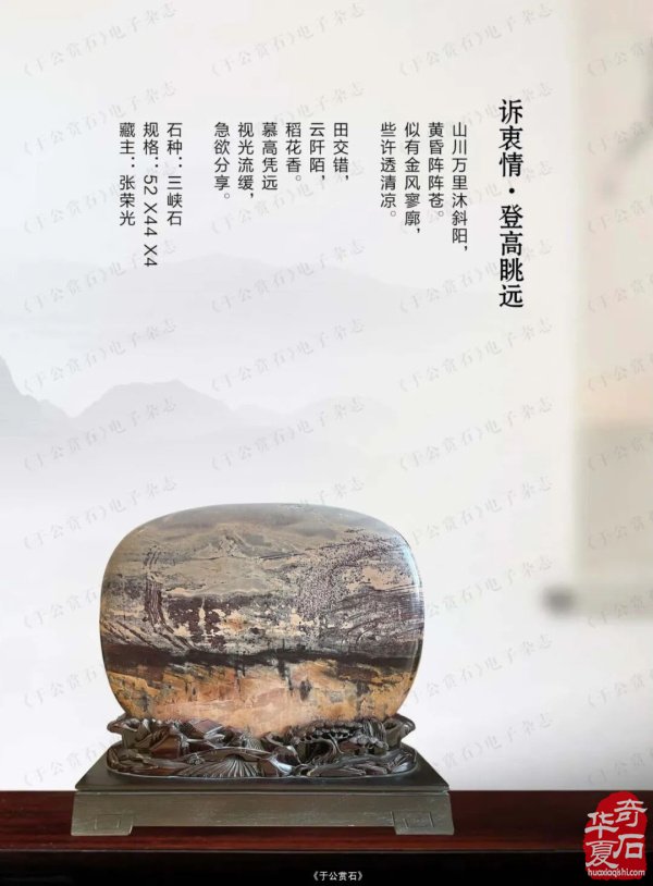 “石界一团火”张荣光：从偶然触石到甘肃赏石传奇人物