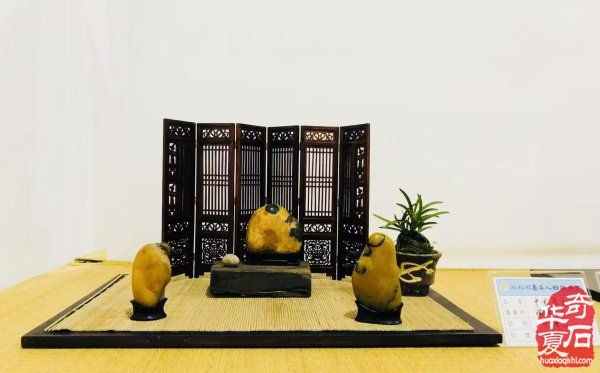 青岛市根石盆景艺术协会九届三次会长办公会成功召开