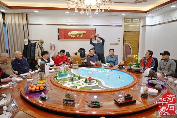 青岛市根石盆景艺术协会九届三次会长办公会成功召开