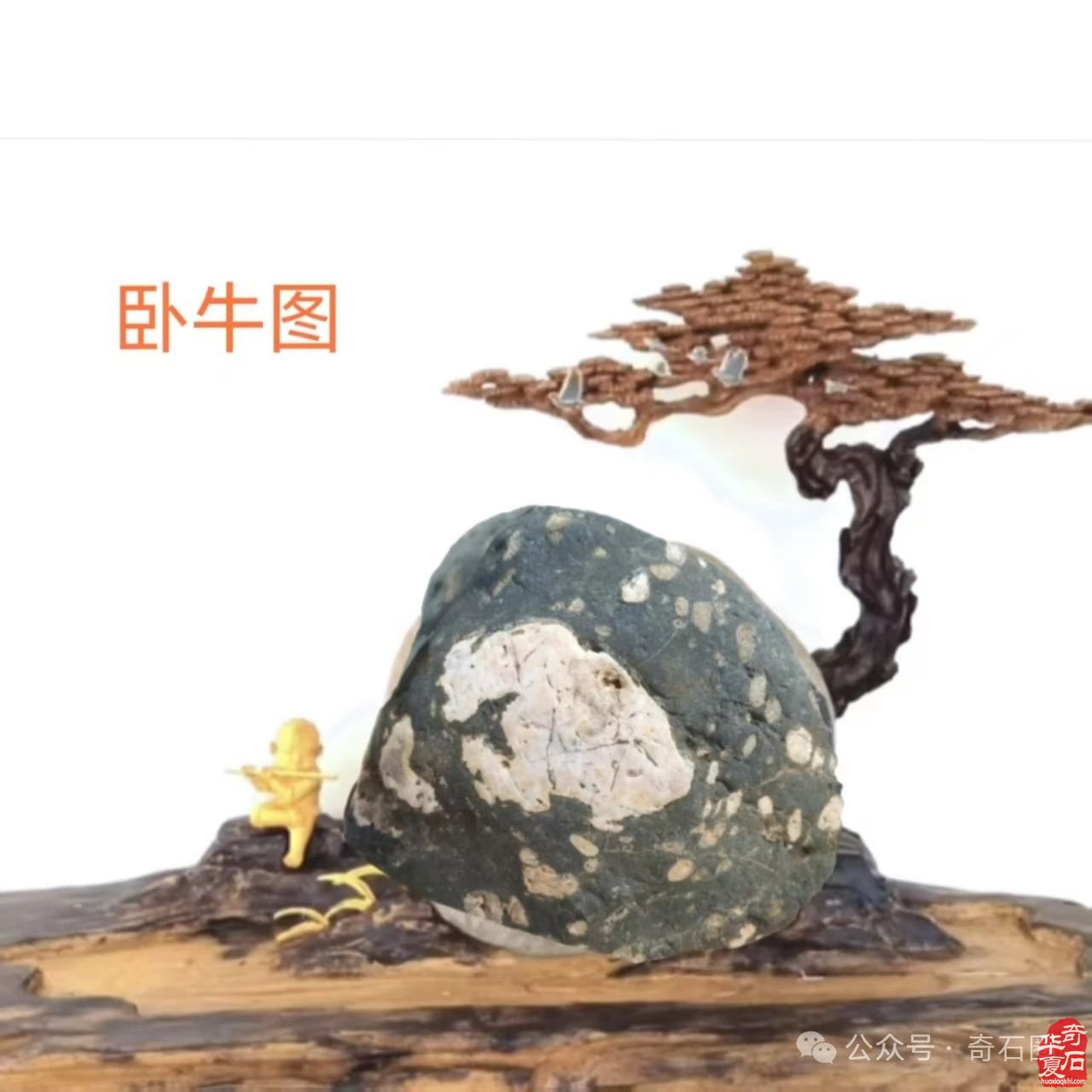看看洛阳伊川石友路群超的藏石如何