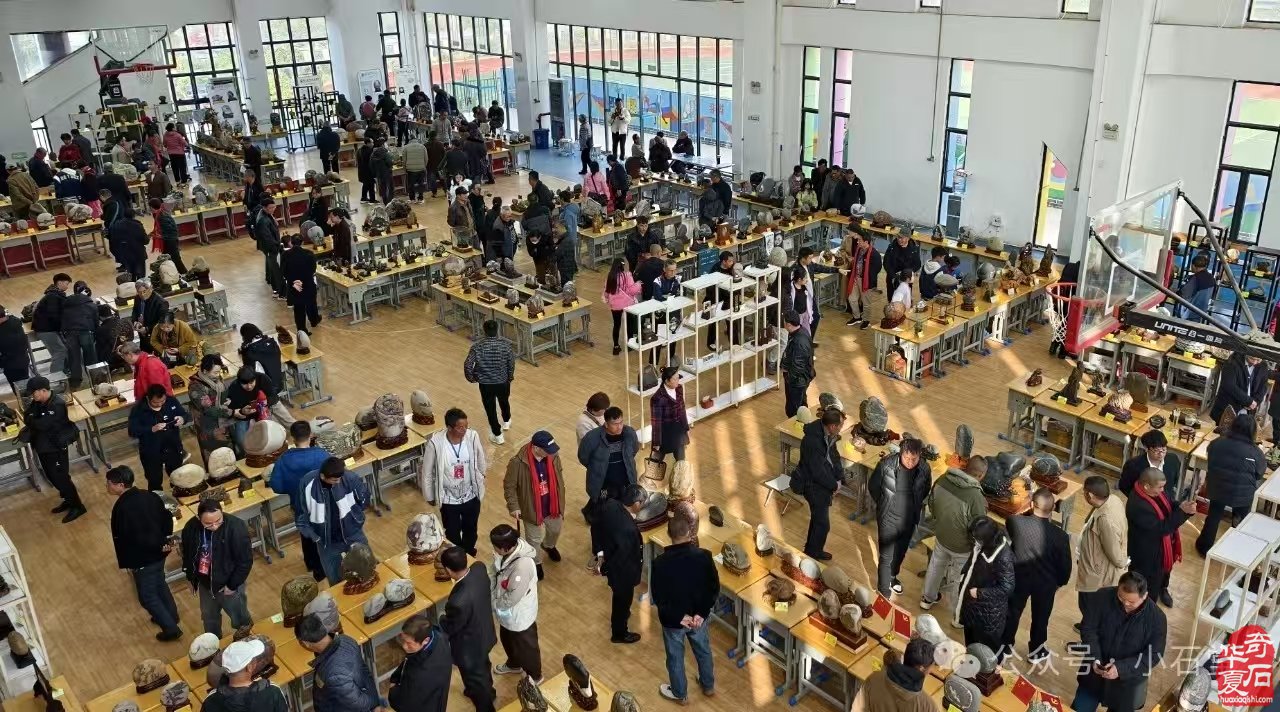 石界新年第一展!一炮打响!——巧家赏石博览会成功举办!