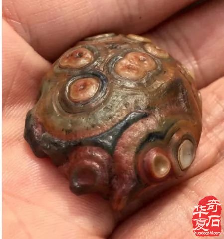 戈壁石种类繁多哪些品种升值潜力大