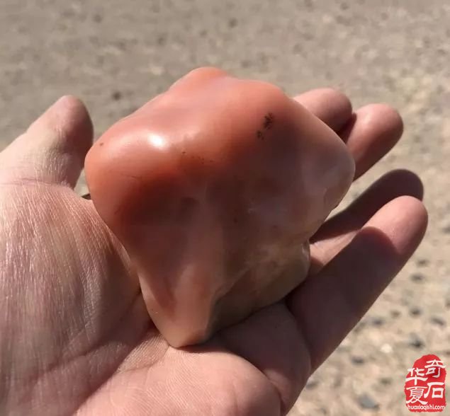 戈壁石种类繁多哪些品种升值潜力大