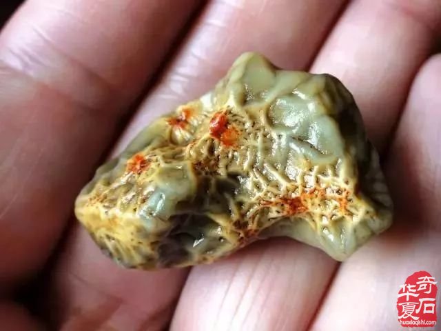 戈壁石种类繁多哪些品种升值潜力大