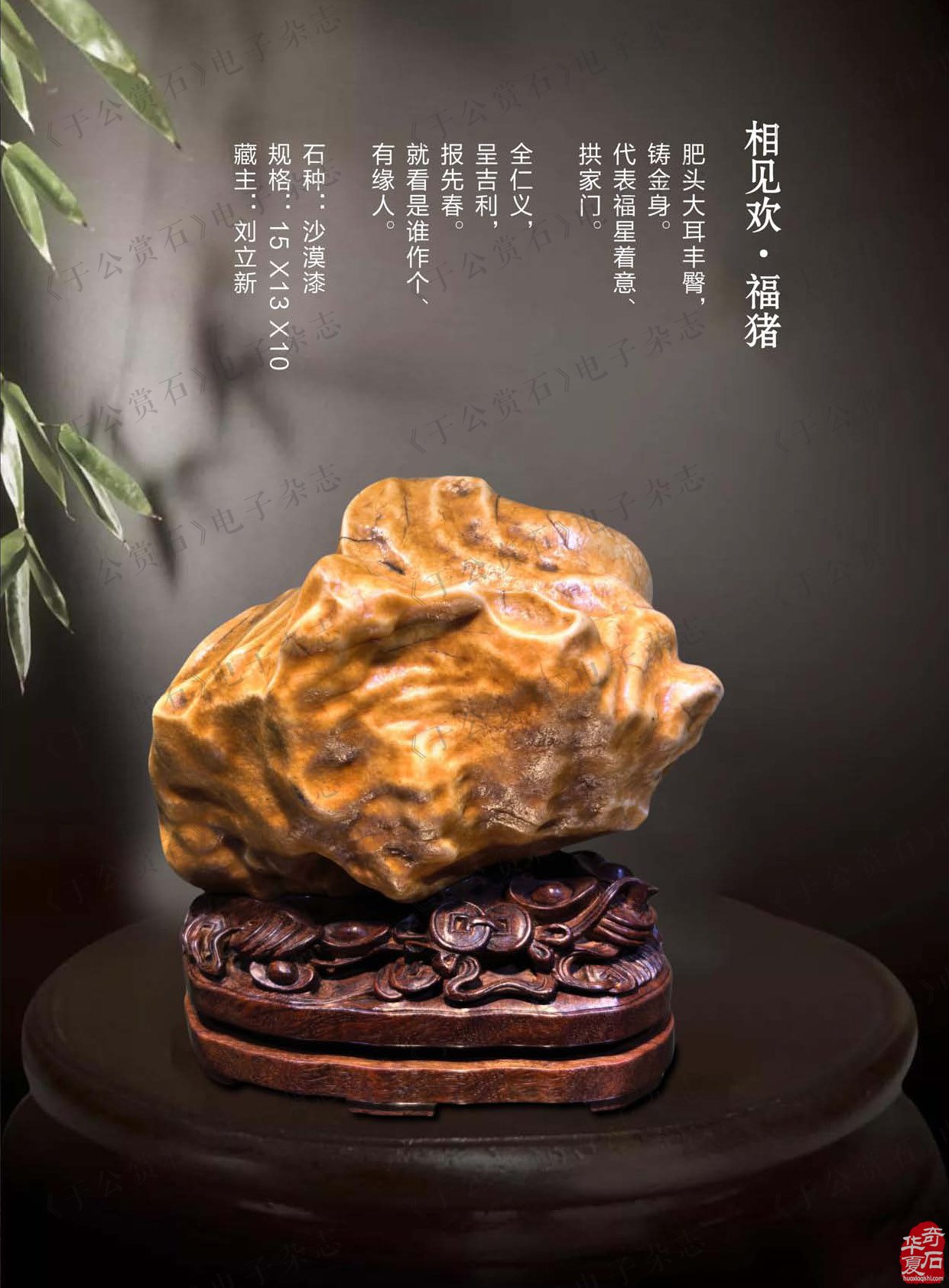 春暖花开《于公赏石》带你看那纷繁的石界