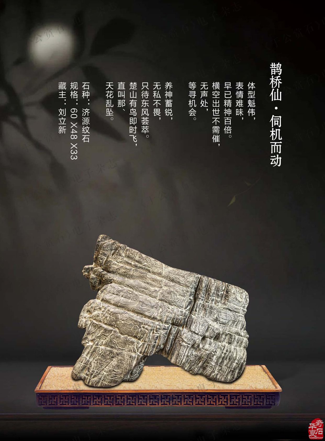 春暖花开《于公赏石》带你看那纷繁的石界