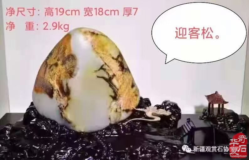 洛阳石展组委会召开第二次筹备会议