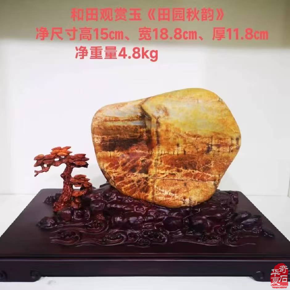 洛阳石展组委会召开第二次筹备会议