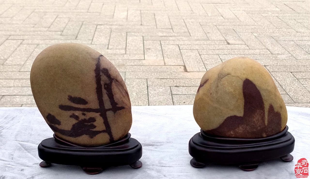 祝贺武山赏石新年首展圆满成功