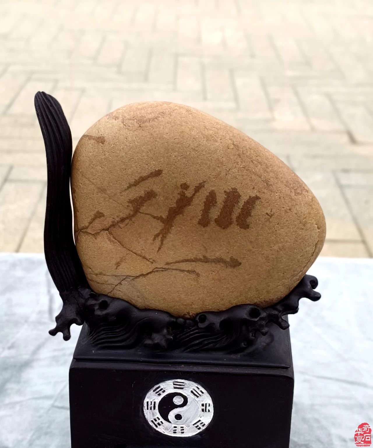 祝贺武山赏石新年首展圆满成功