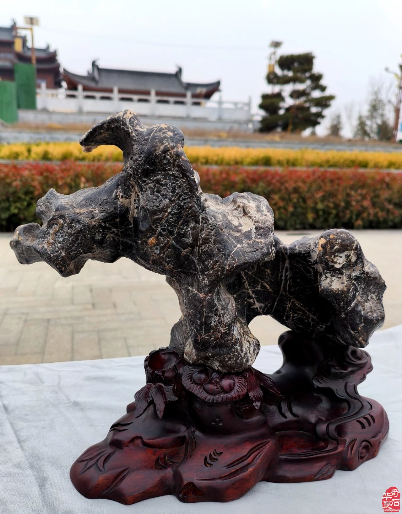 祝贺武山赏石新年首展圆满成功