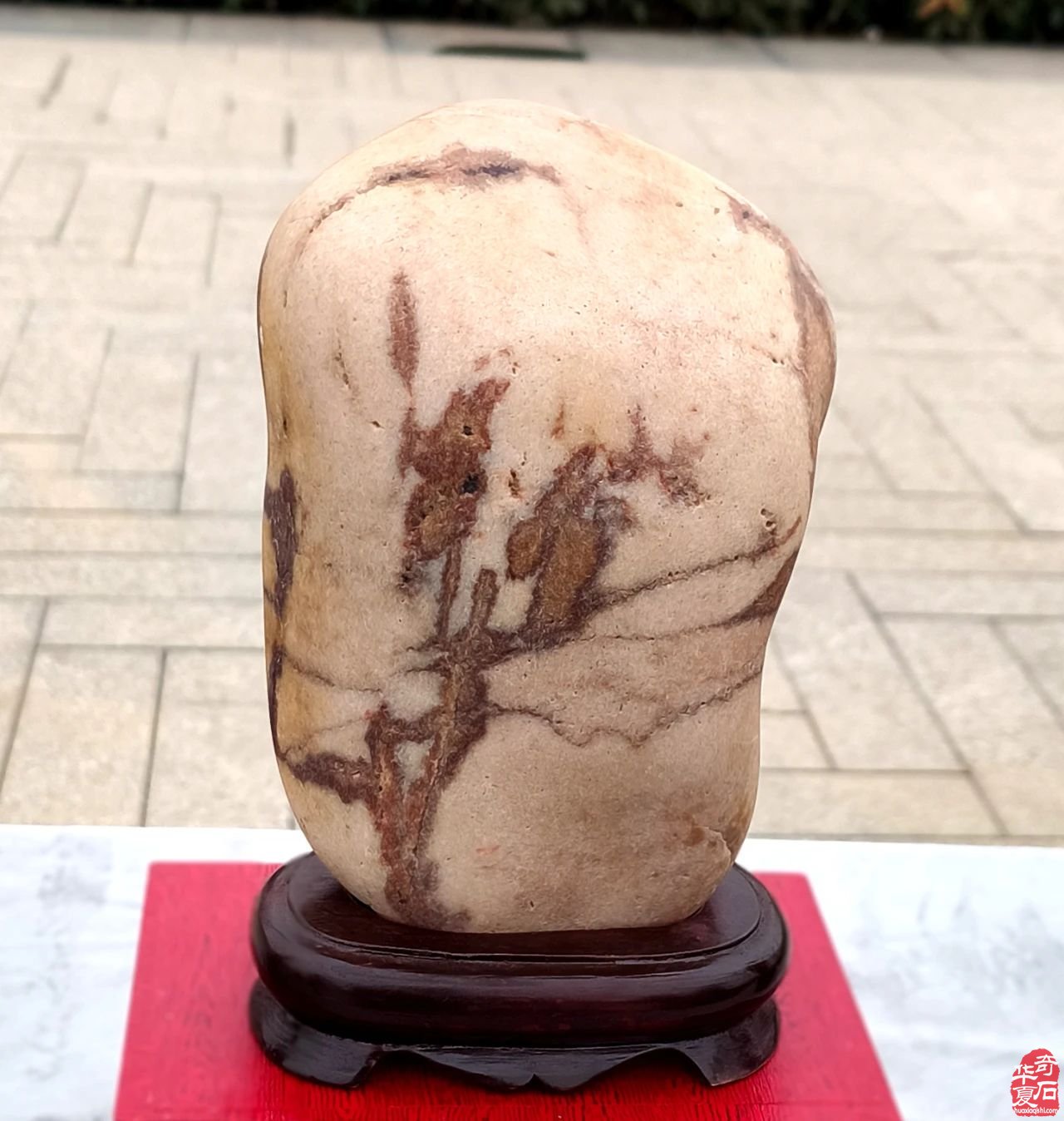 祝贺武山赏石新年首展圆满成功