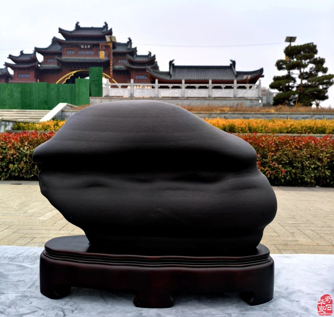 祝贺武山赏石新年首展圆满成功