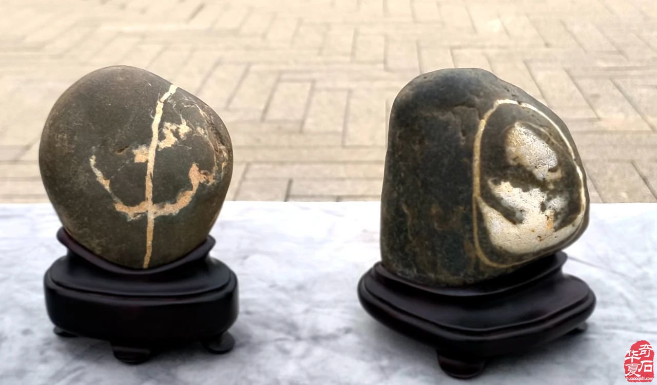 祝贺武山赏石新年首展圆满成功