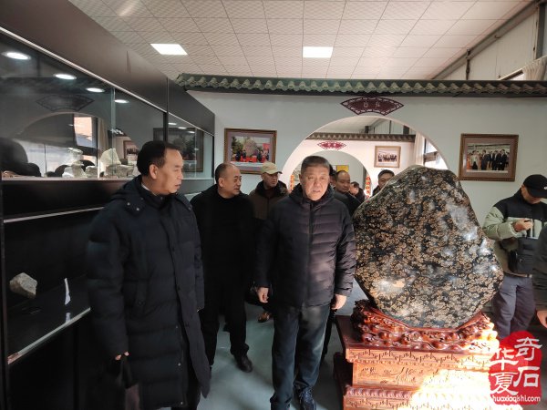洛阳市赏石协会隆重召开年会理事会