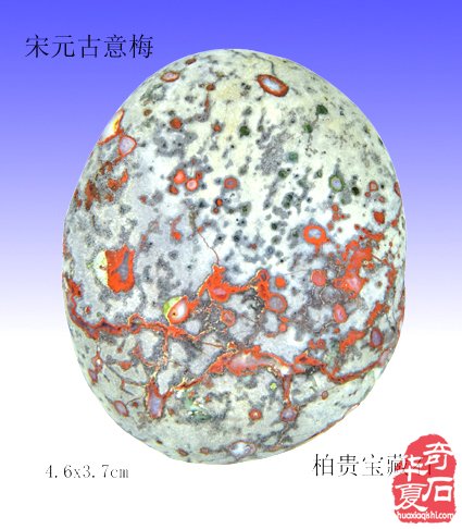 春风惹得游人醉 梅好时光永相随