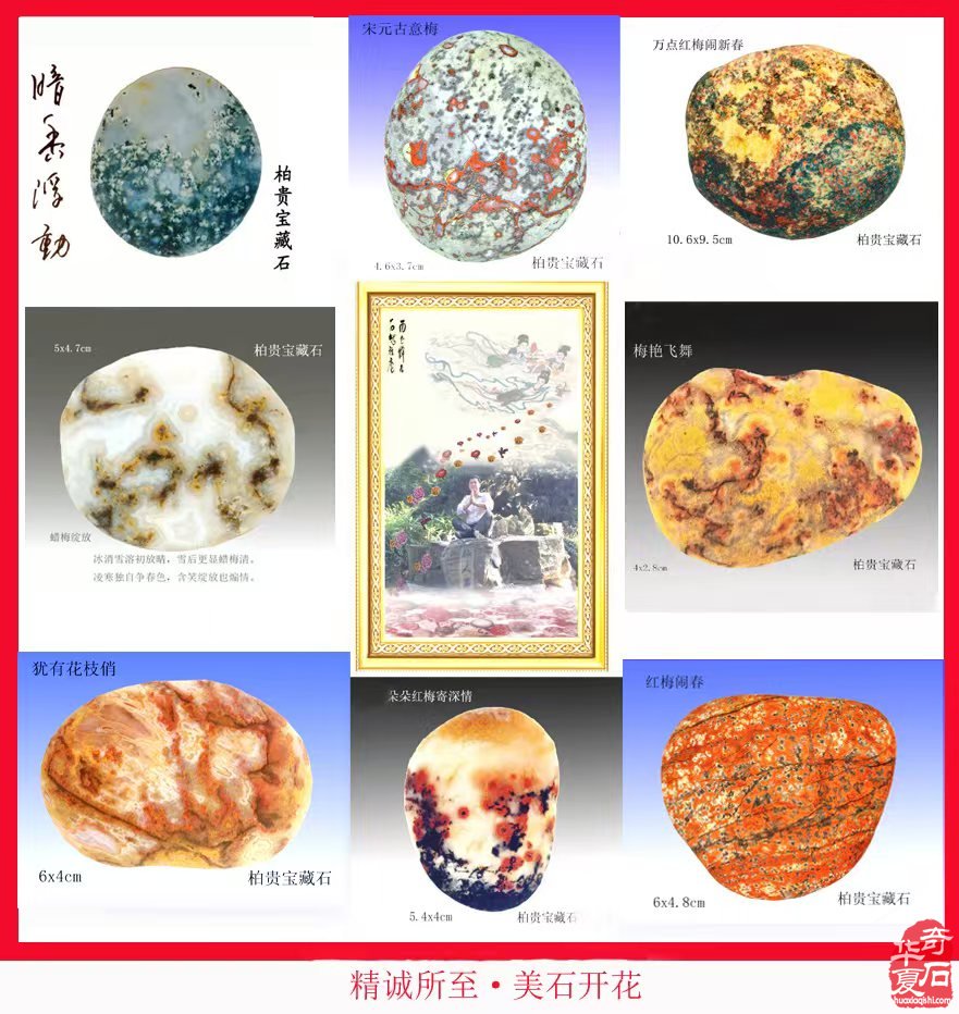 春风惹得游人醉 梅好时光永相随