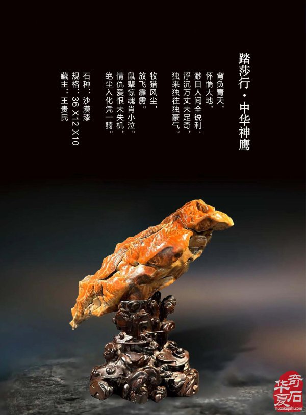 上《于公赏石》看女子会长朱流勄奇石作品